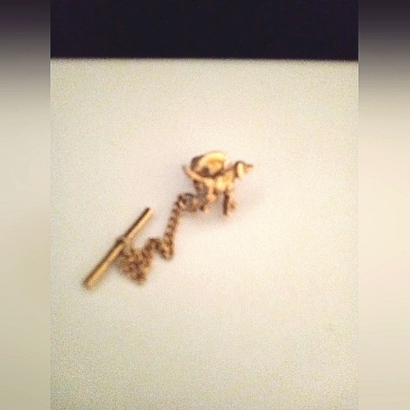 TieTack Vintage Irish Setter Golden Retriever Hunting Dog Groomer Gift - Picture 3 of 4